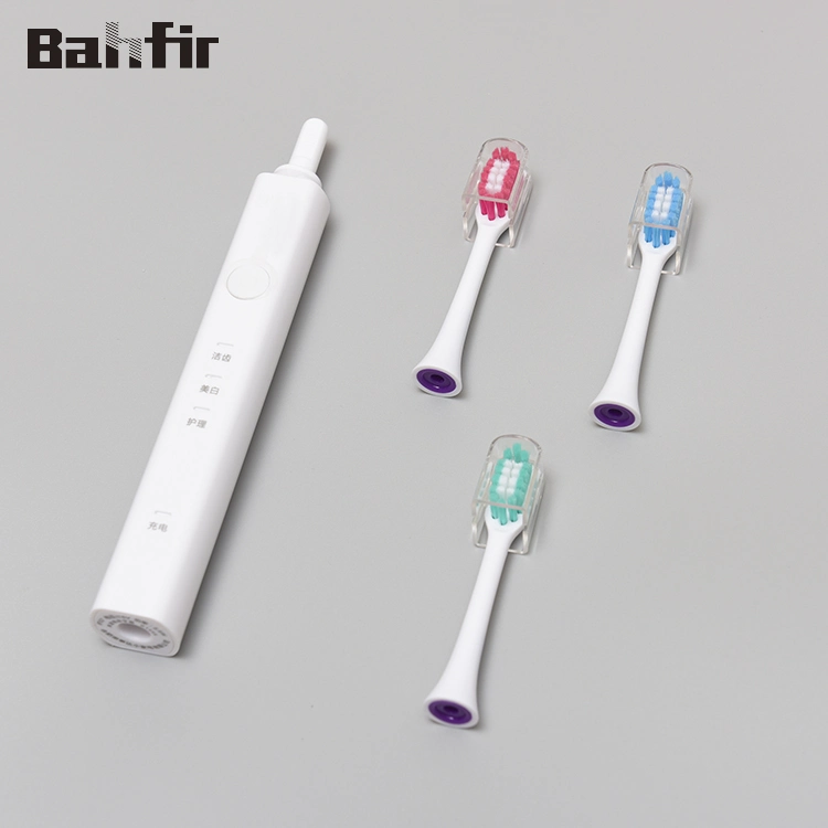 OEM Adult Waterproof Ipx7 Rechargeable Sonic Electric Toothbrush Beauty and Personal Care Travel Use