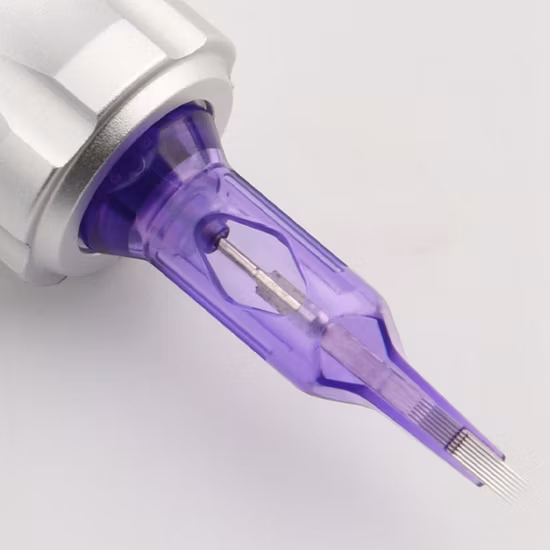 Equipo permanente del tatuaje del maquillaje de la aguja del tatuaje del acero inoxidable de la ayuda del OEM y del ODM